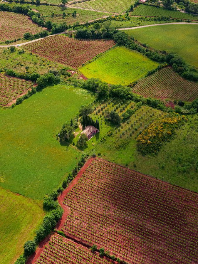 aerial view of green grass field